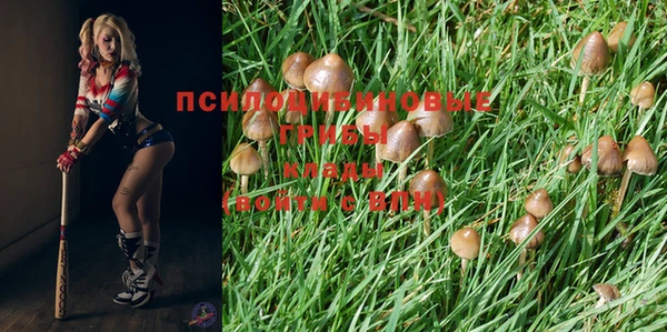 трава Болхов