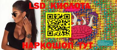 индика Ирбит