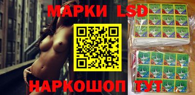 сатива Камышлов