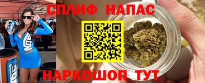 индика Ирбит