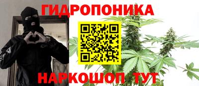 сатива Камышлов