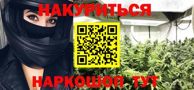 индика Ирбит