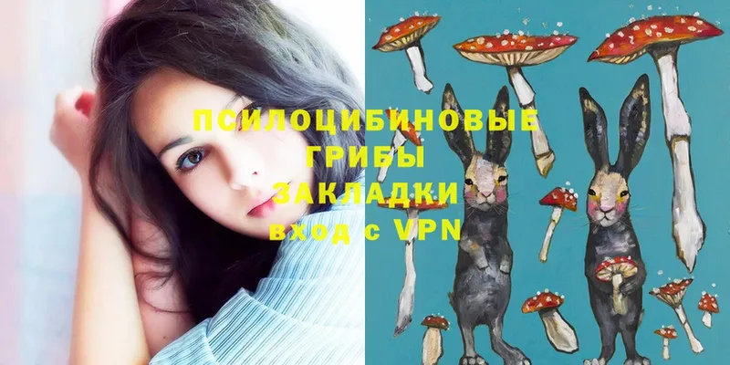 Галлюциногенные грибы Psilocybe  гидра как зайти  Касимов 