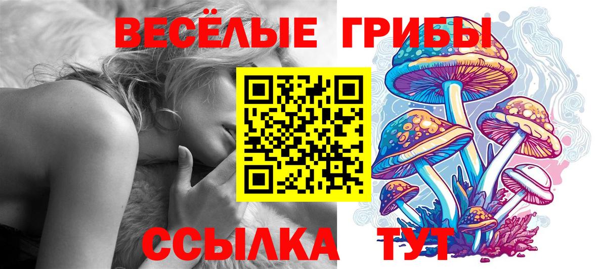 Касимов  купить  цена  Вход с VPN  Псилоцибиновые грибы прущие грибы 