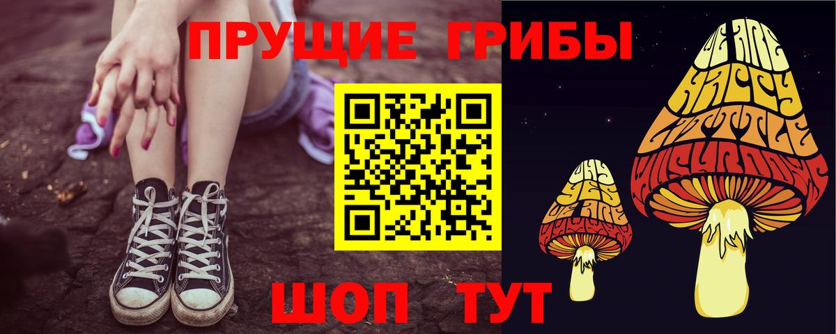 Галлюциногенные грибы Psilocybe Касимов